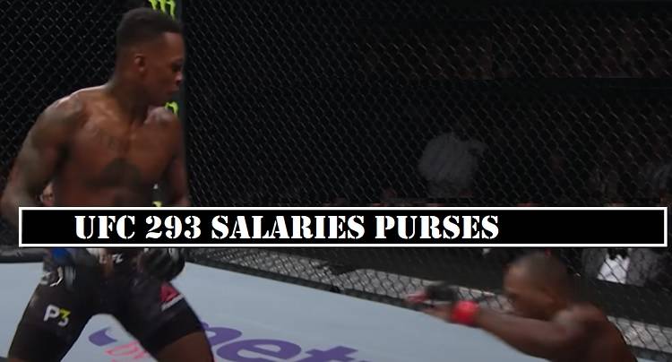 UFC 293 Salaries Purses