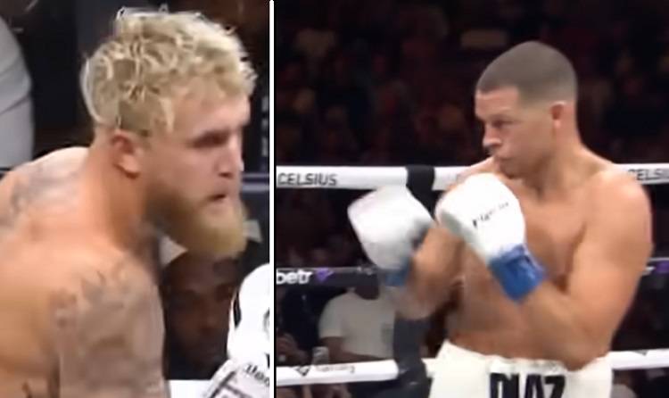 Jake Paul vs Nate Diaz Purses